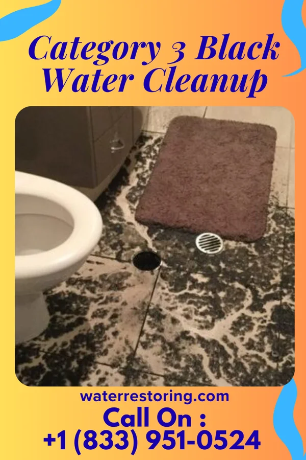 Category 3 Black Water Cleanup in Knoxville, IL