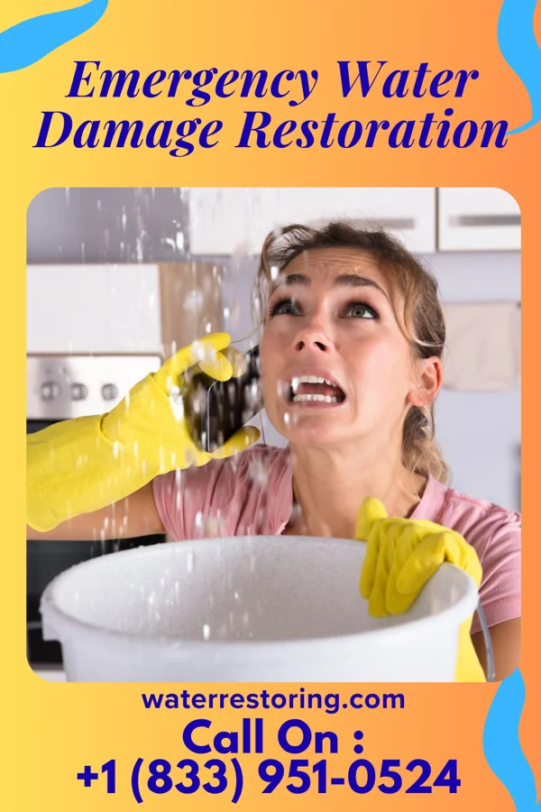 Emergency Water Damage Restoration in Knoxville, IL