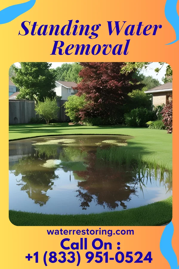 Standing Water Removal in Knoxville, IL